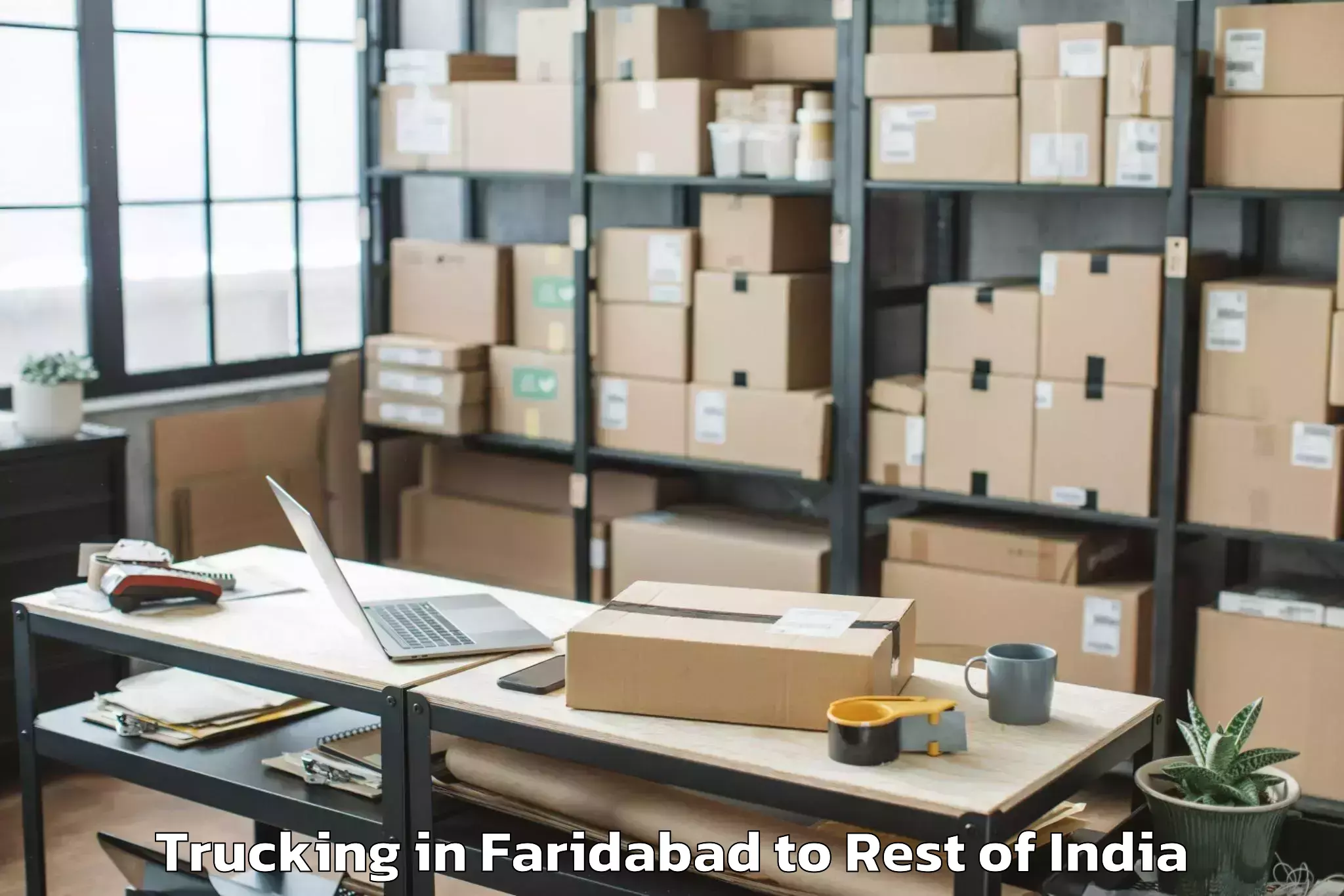 Leading Faridabad to Mogula Pally Trucking Provider